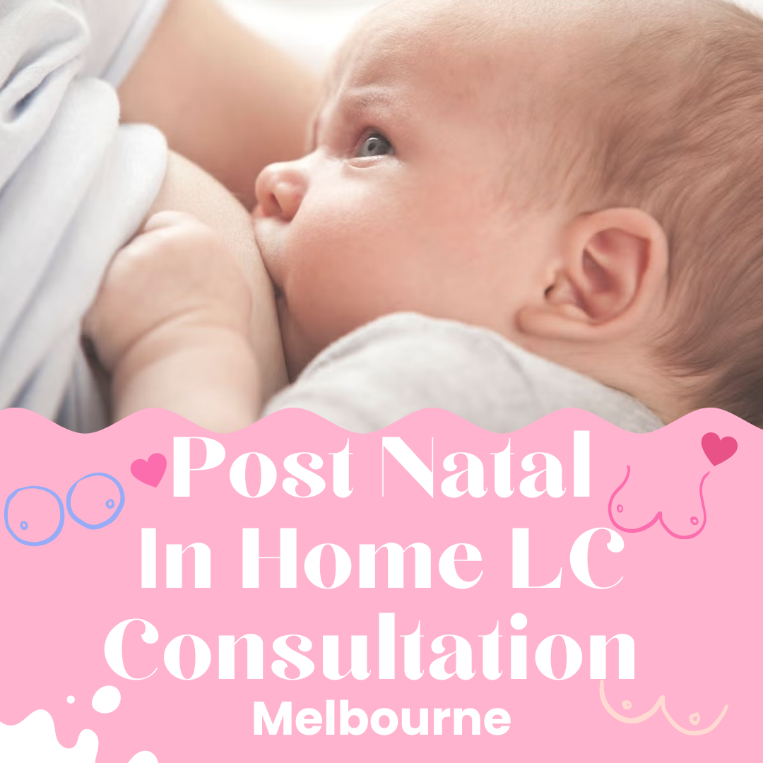 Postanatal Lactation Consult - Home Visit Melbourne