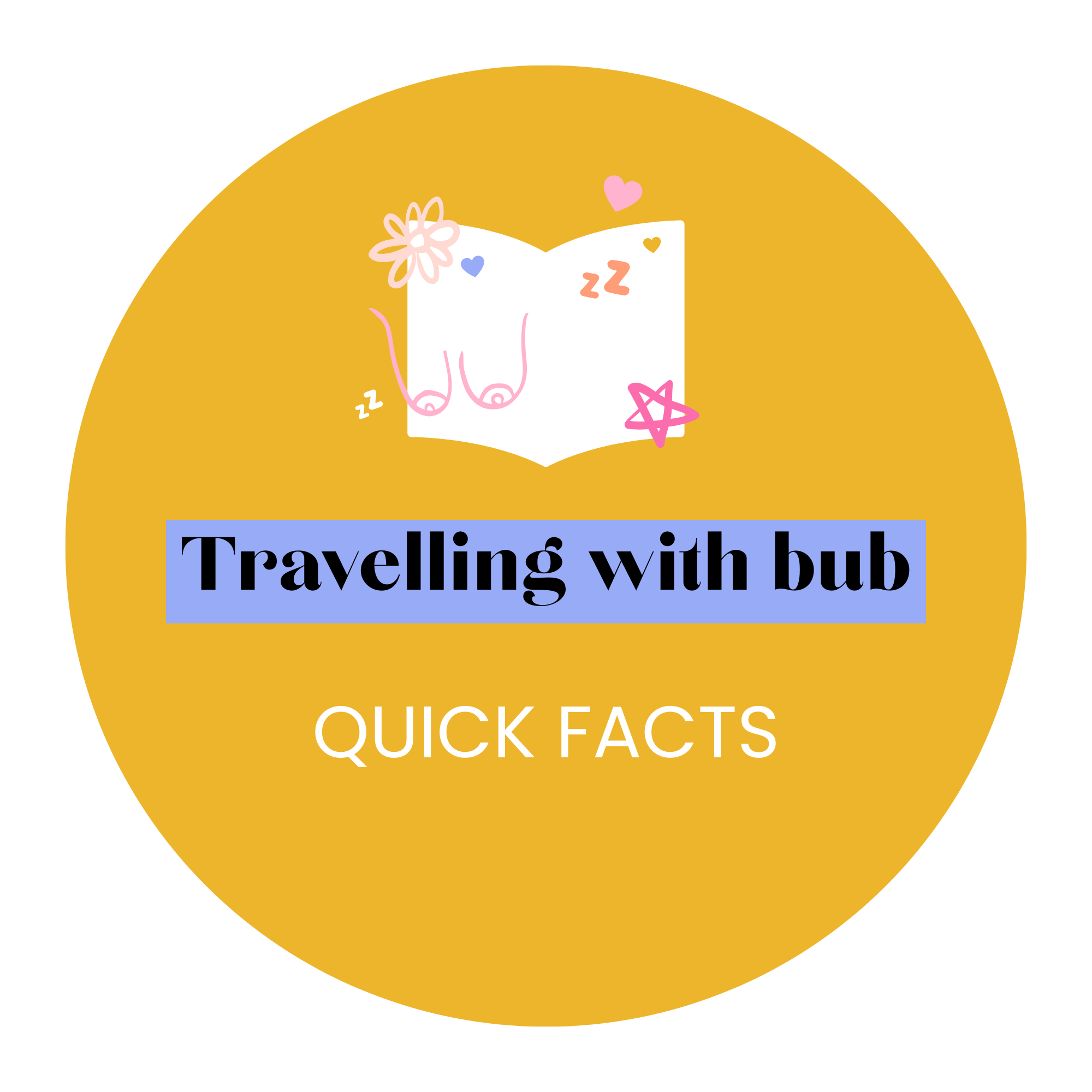 E-Book - Travelling With Your Bubba