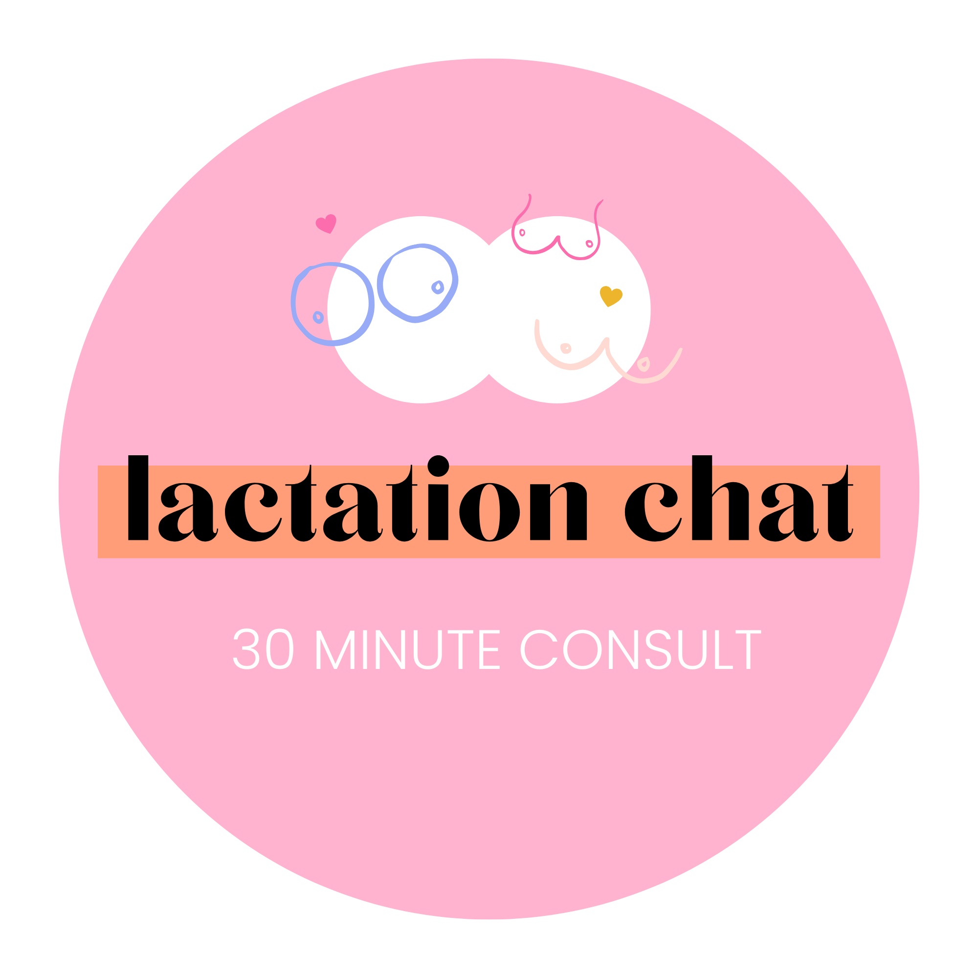 Lactation Consult - 30 Min Call