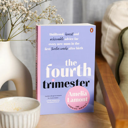 'The Fourth Trimester' Book